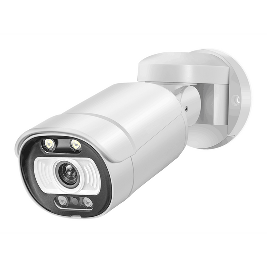 5MP Full HD POE PT (schwenkbar) Überwachungskamera mit Nachtsicht / Bewegungserkennung / Aufzeichnung für Safe2Home POE Videoüberwachungs Set