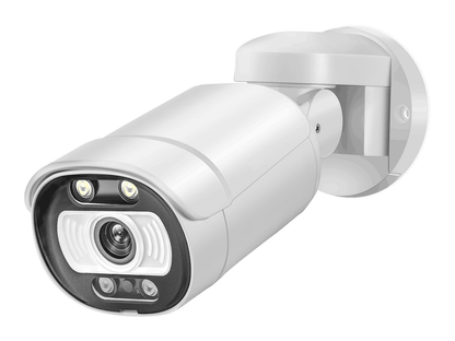 5MP Full HD POE PT (schwenkbar) Überwachungskamera mit Nachtsicht / Bewegungserkennung / Aufzeichnung für Safe2Home POE Videoüberwachungs Set